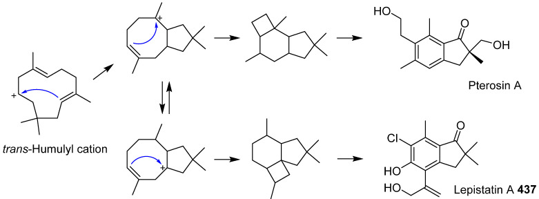 Scheme 20