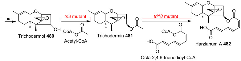 Scheme 28