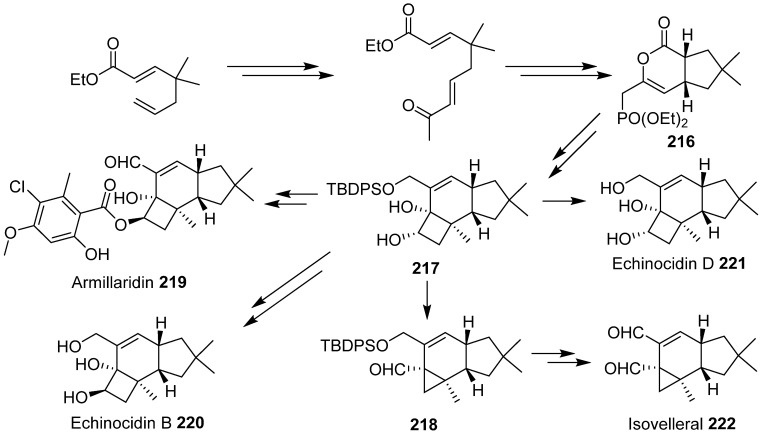 Scheme 7