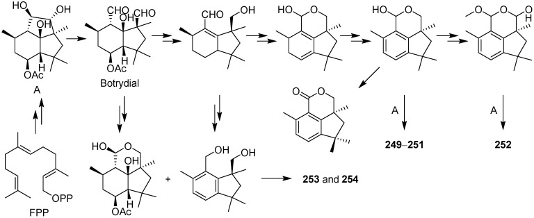 Scheme 8