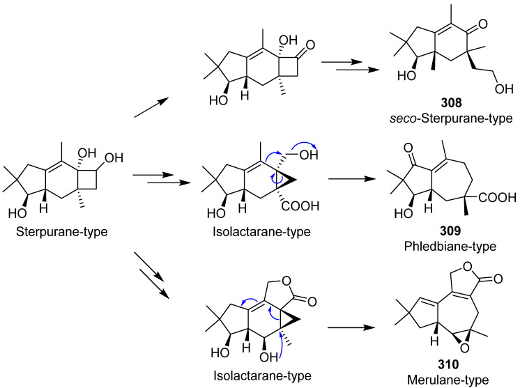 Scheme 12