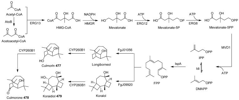 Scheme 26