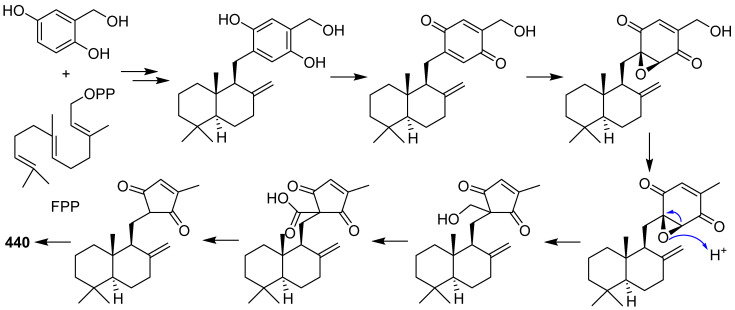 Scheme 21