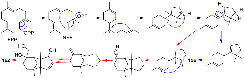 Scheme 5