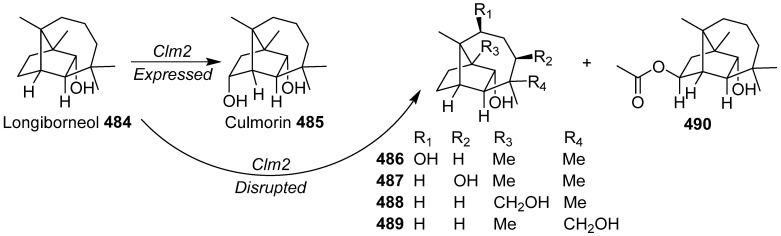 Scheme 30