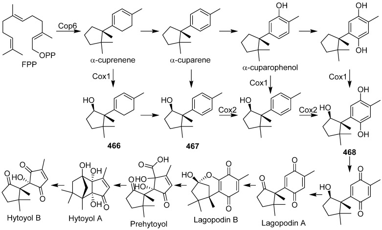 Scheme 23