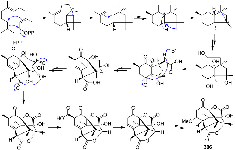 Scheme 16