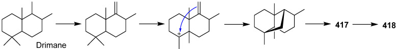 Scheme 18