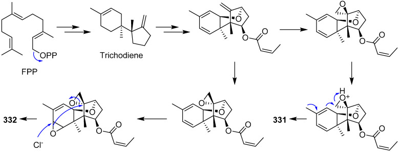 Scheme 13