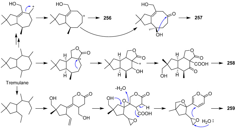 Scheme 9