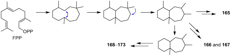 Scheme 6