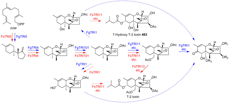 Scheme 29