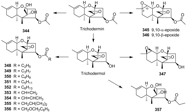 Scheme 15