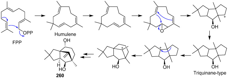 Scheme 10