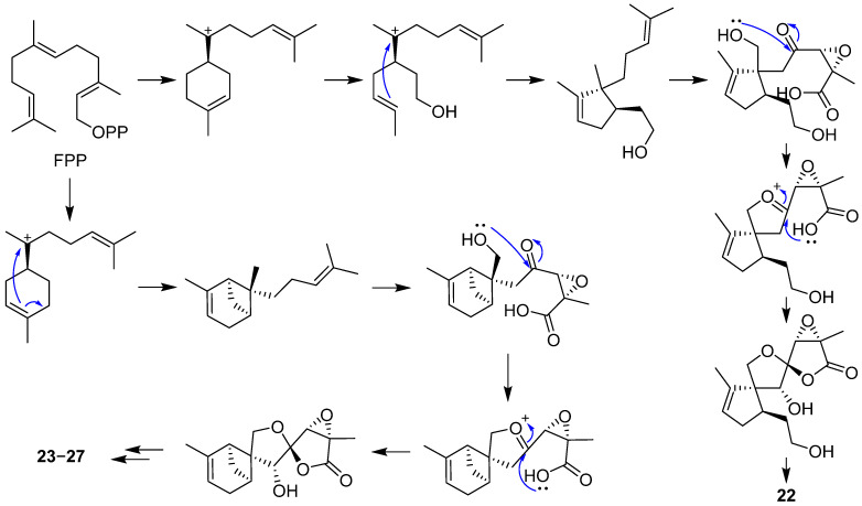 Scheme 1