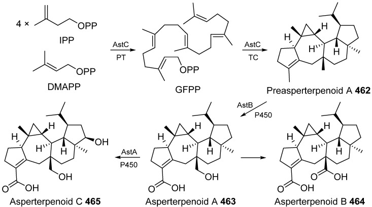 Scheme 22