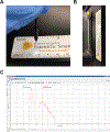 Figure 2 |