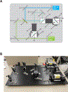 Figure 1 |
