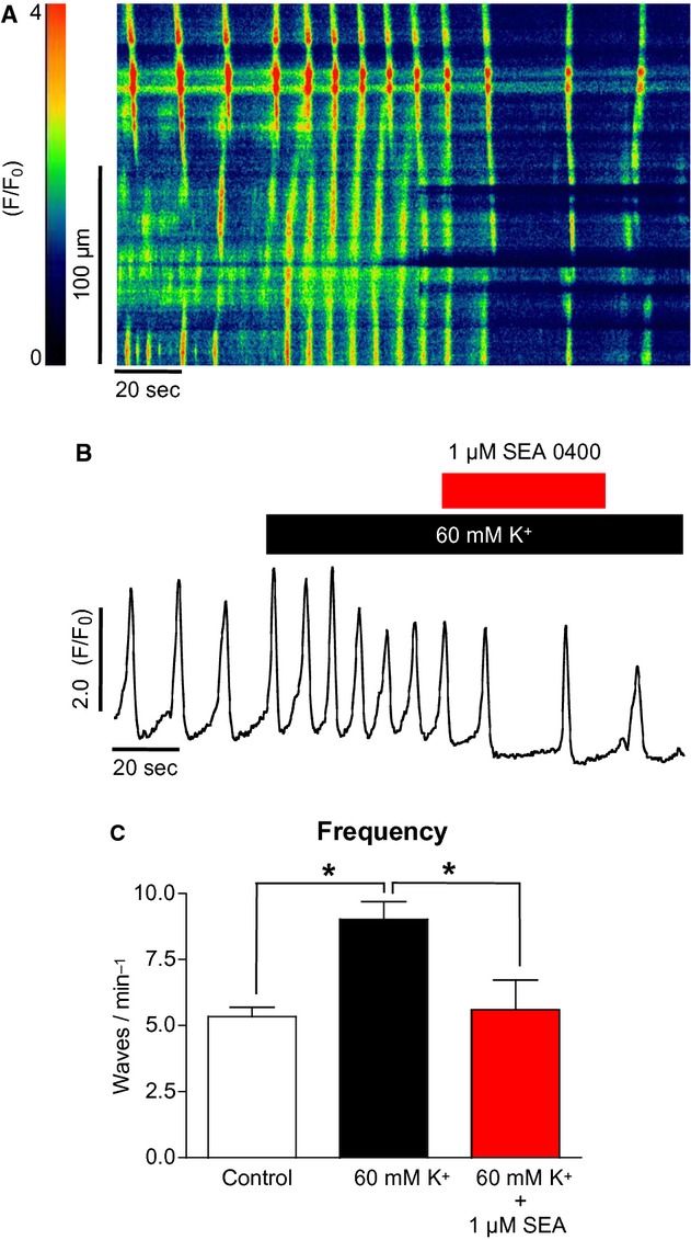 Figure 10.