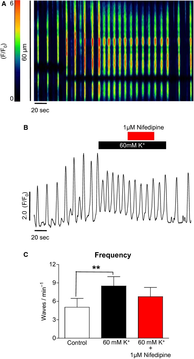 Figure 6.