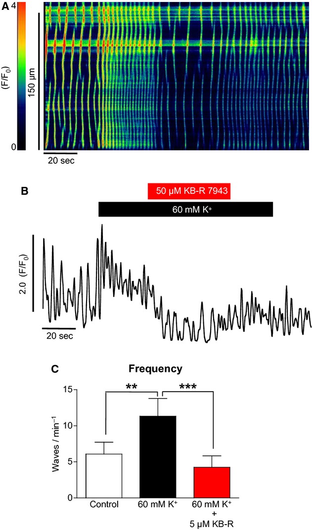 Figure 11.