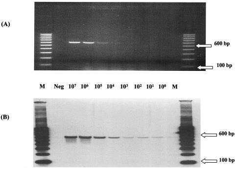 FIG. 1.