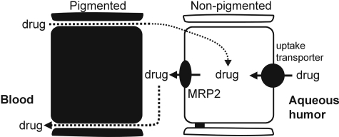 Fig. 7.