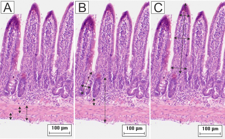 Figure 1