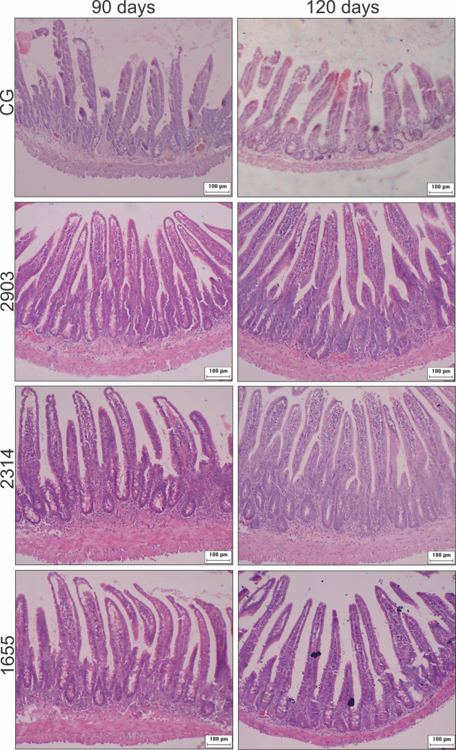 Figure 5