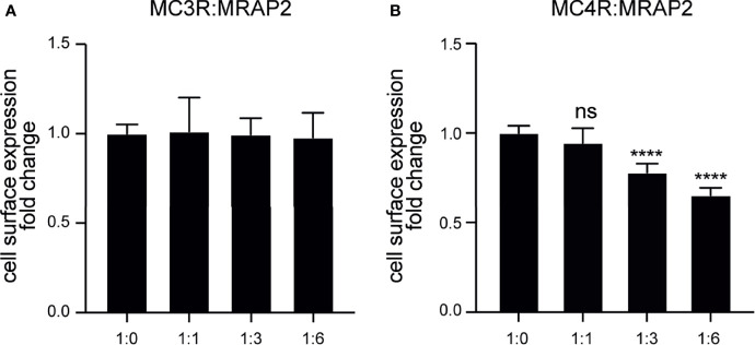 Figure 6