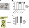 Fig. 8.