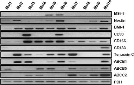 Figure 4: