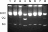 FIG. 5.