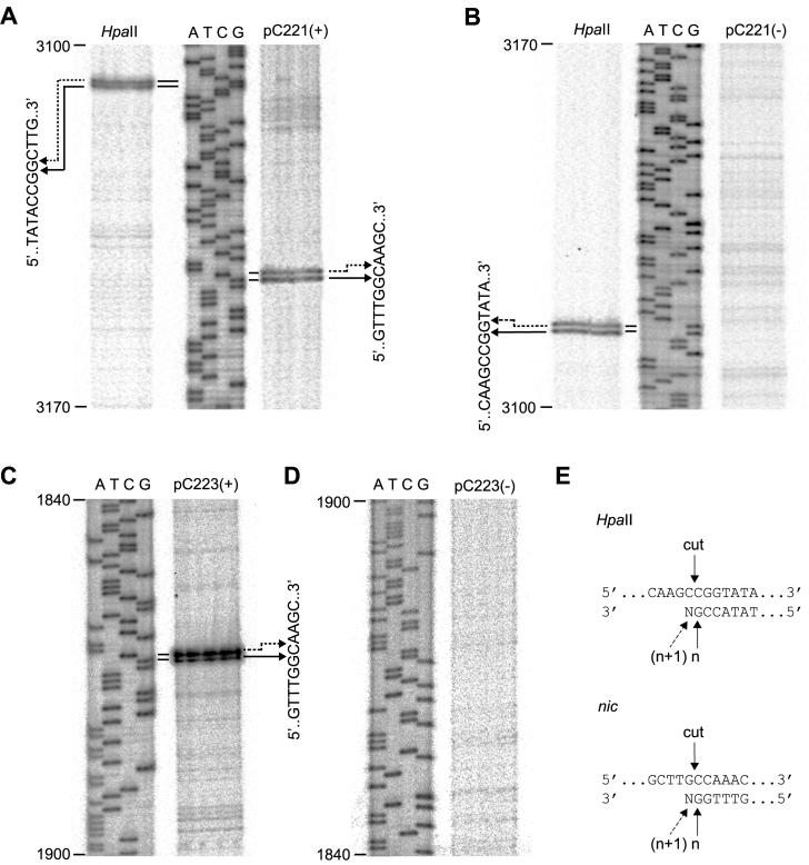 FIG. 4.