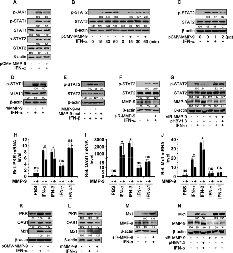 FIG 6