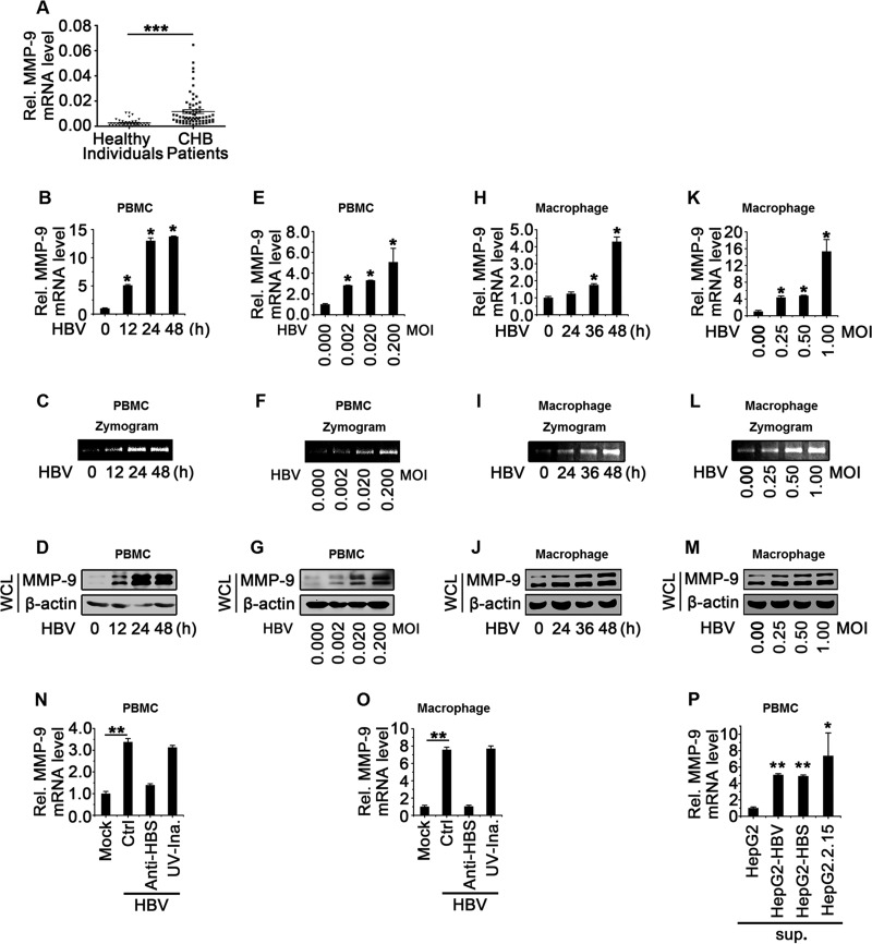 FIG 1