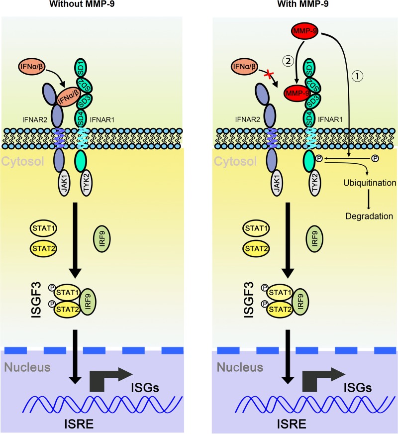 FIG 10