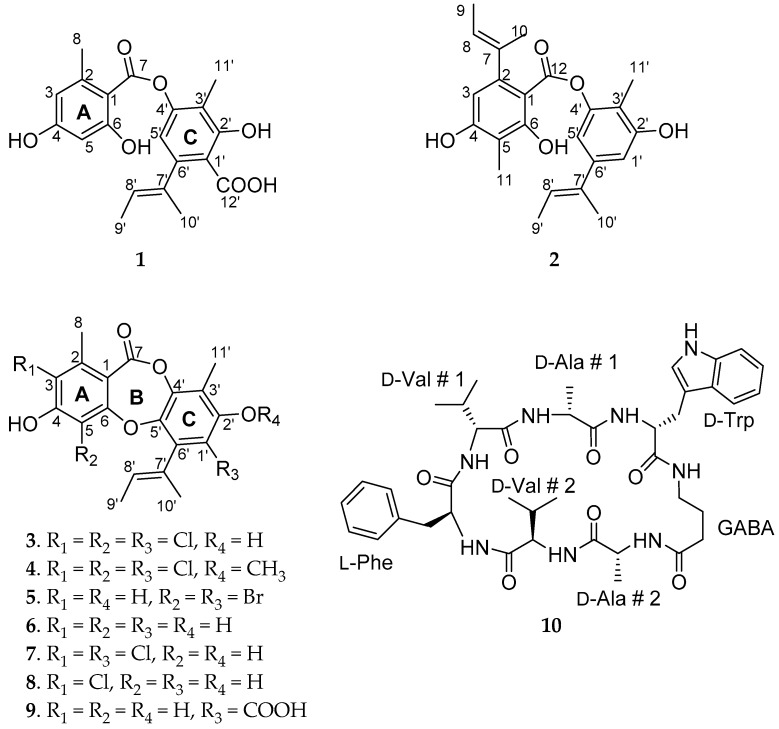 Figure 1