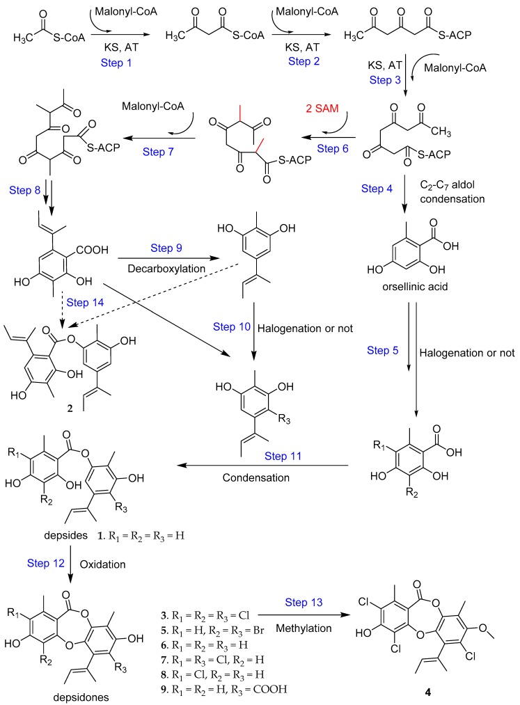 Figure 4