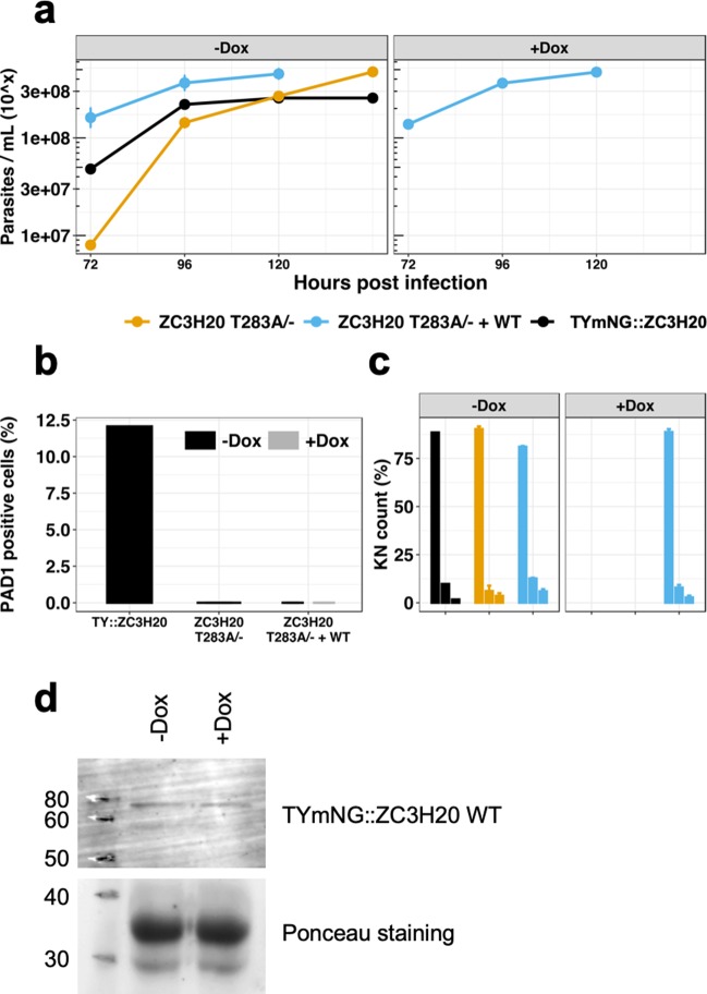 Figure 6—figure supplement 9.