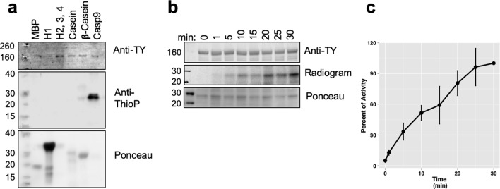 Figure 2—figure supplement 1.