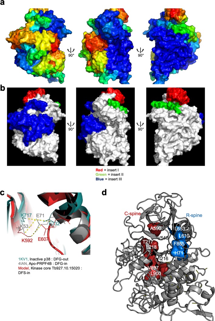 Figure 3—figure supplement 1.