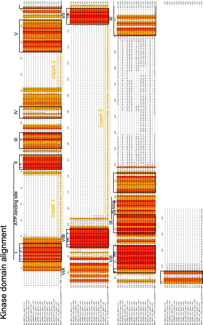 Figure 1—figure supplement 1.