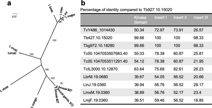 Figure 1—figure supplement 2.