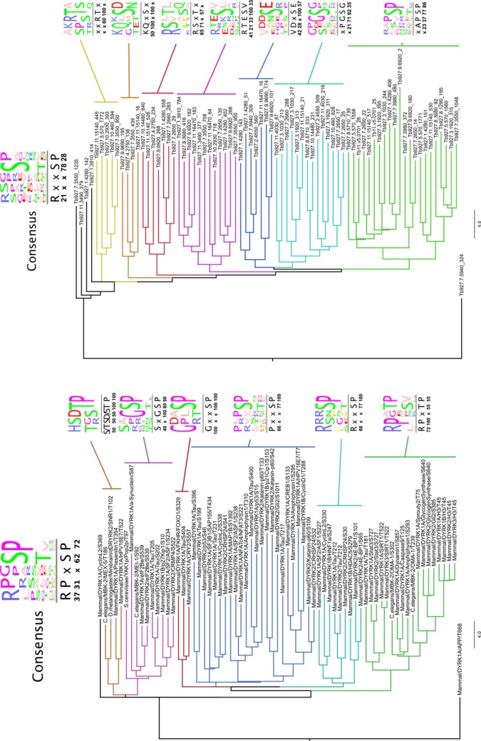 Figure 5—figure supplement 2.