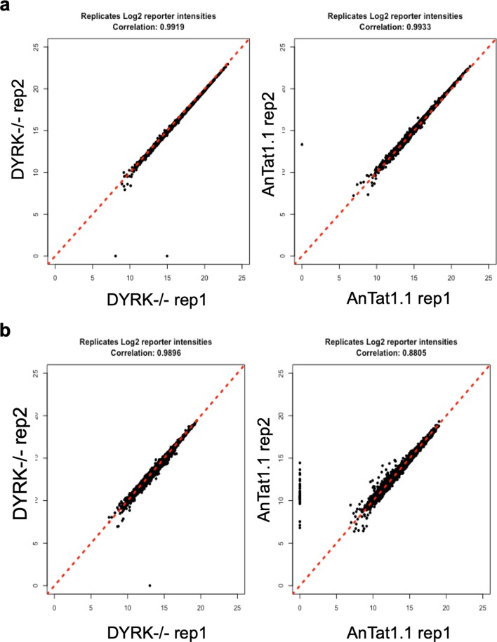 Figure 5—figure supplement 1.