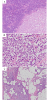 FIG. 2.