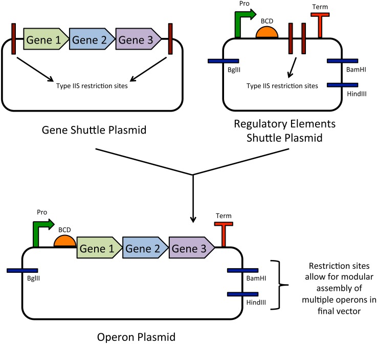 Fig 2