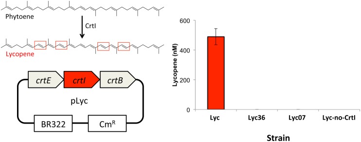 Fig 5