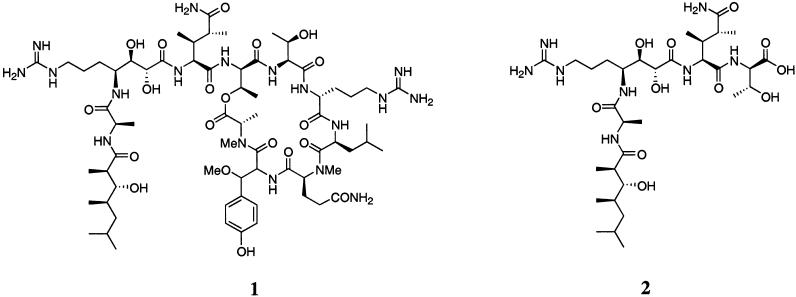 FIGURE 1